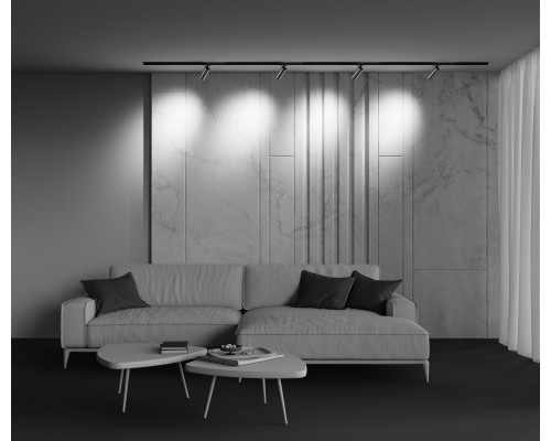 Трековый светильник Technical TR021-1-12W3K-W-BBS