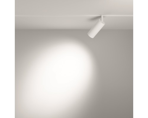 Трековый светильник Technical TR032-2-12W3K-S-W