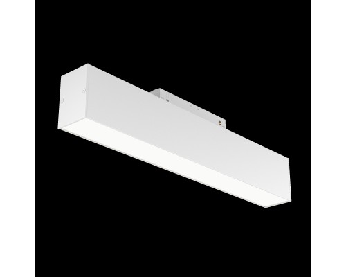 Трековый светильник Technical TR012-2-12W4K-W