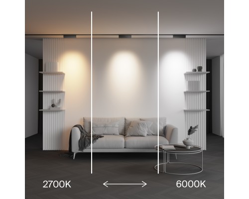Трековый светильник Technical TR242-4-12WTW-DD2-B