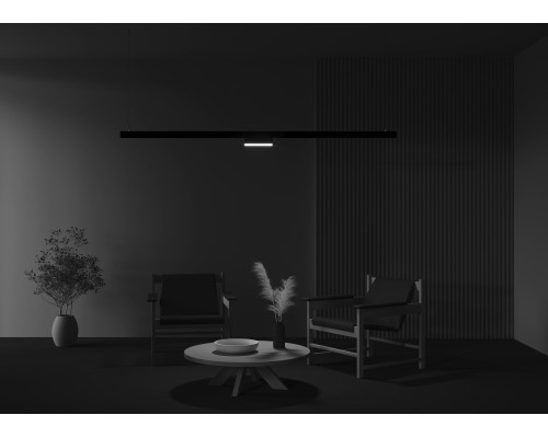 Трековый светильник Technical TR036-2-12W4K-B