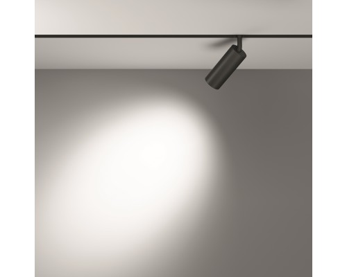 Трековый светильник Technical TR032-2-12W3K-S-B