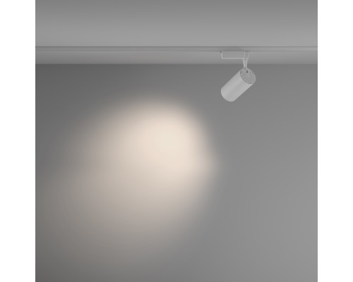 Трековый светильник Technical TR003-1-36W4K-M-W