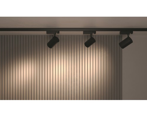 Трековый светильник Technical TR029-3-30W3K-B