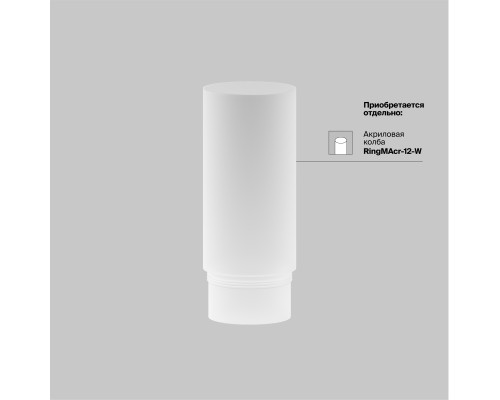 Трековый светильник Technical TR032-2-12W3K-S-W