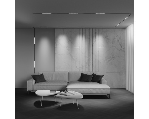 Трековый светильник Technical TR241-4-12WTW-DSZ-B