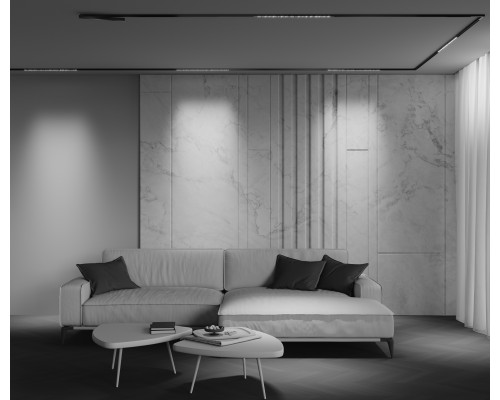 Трековый светильник Technical TR241-2-12W3K-B