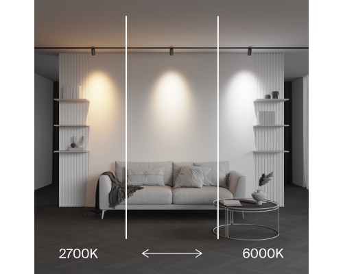 Трековый светильник Technical TR243-4-12WTW-DSZ-B