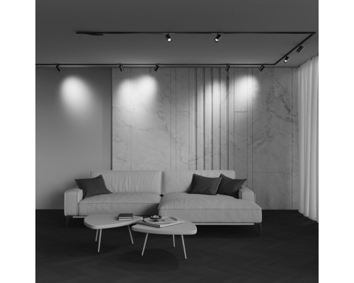 Трековый светильник Technical TR243-12W4K-B