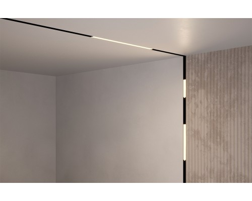 Трековый светильник Technical TR074-2-12W4K-B