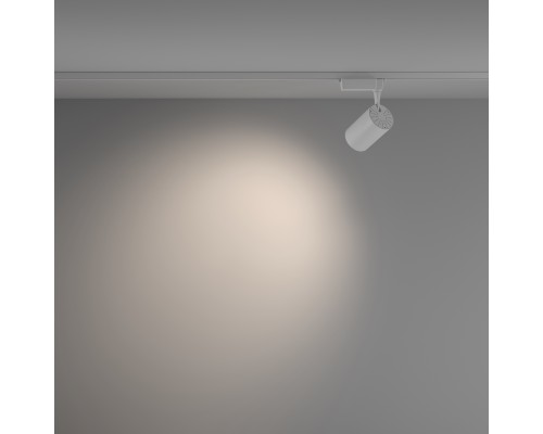 Трековый светильник Technical TR003-1-26W4K-W-W