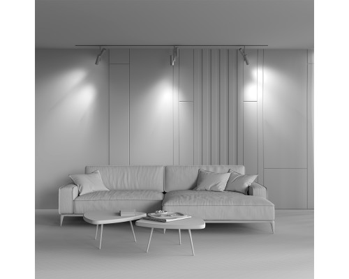 Трековый светильник Technical TR005-4-2X12W-DS-BW