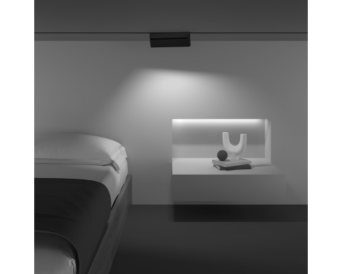 Трековый светильник Technical TR077-2-20W4K-B