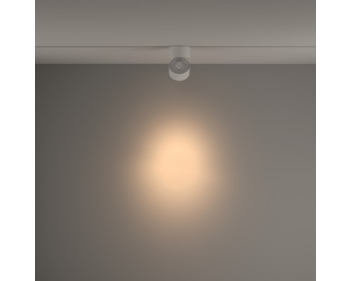 Трековый светильник Technical TR084-1-15W3K-W