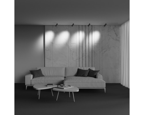 Трековый светильник Technical TR212-1-12WTW-DS-Z-B