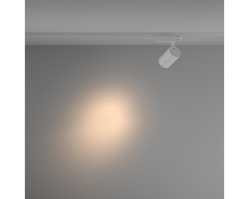 Трековый светильник Technical TR029-3-20W3K-S-W