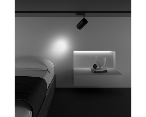 Трековый светильник Technical TR003-1-36W3K-S-B