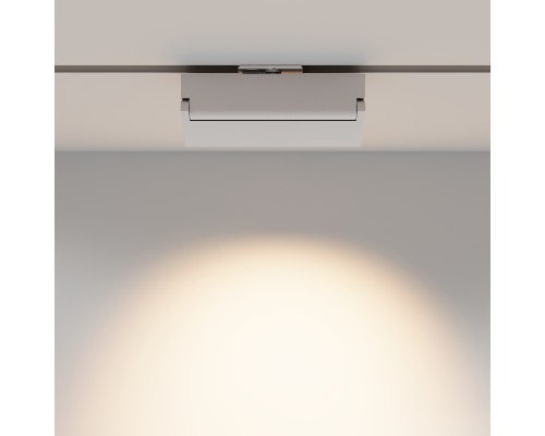 Трековый светильник Technical TR224-1-12WCCT-M-W