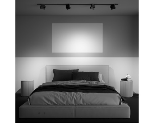 Трековый светильник Technical TR077-2-10W4K-B