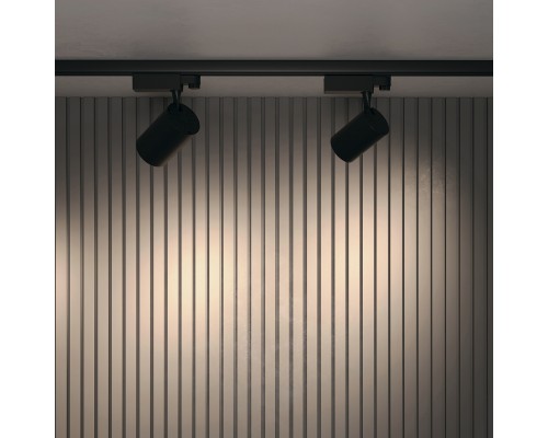 Трековый светильник Technical TR029-3-30W3K-B