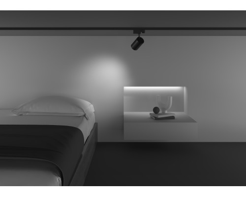 Трековый светильник Technical TR029-3-10W3K-M-B