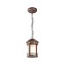 Уличный подвесной светильник Outdoor O031PL-01BR