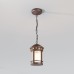 Уличный подвесной светильник Outdoor O031PL-01BR