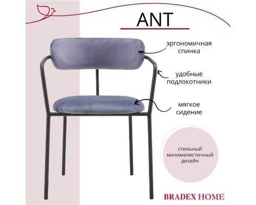 Комплект из 2-х стульев Ant серый