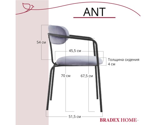 Комплект из 2-х стульев Ant серый