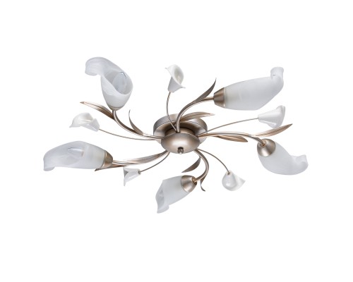 Люстра потолочная MW-Light Восторг 242016205 242016205