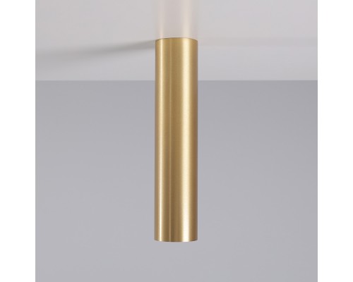 Потолочный cветильник Nowodvorski Eye M Brass 8912