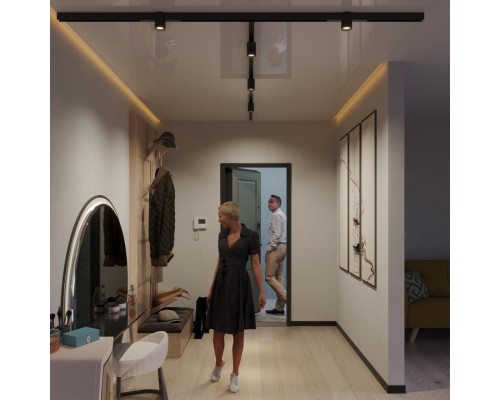 359955 PORT NT25 218 черный Трековый св-к диммир. со сменой цв.температуры, пульт ДУ/Tuya Smart Life IP20 LED 10W 3000-6000K 90-240V VECTOR