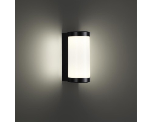 359300 STREET NT24 000 черный Светильник ландшафтный настенный IP65 LED 6W 4000K 180-265V OPAL