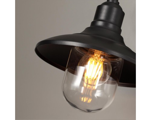 4965/1W NATURE ODL22 713 черный/стекло Ландшафтный настен.светильник E27 1*60W IP44 CAMPA