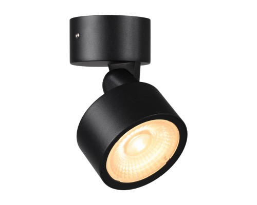 359588 STREET NT25 000 черный Светильник ландшафтный светодиодный IP65 LED 12W 3000К 100-240V FOCUS