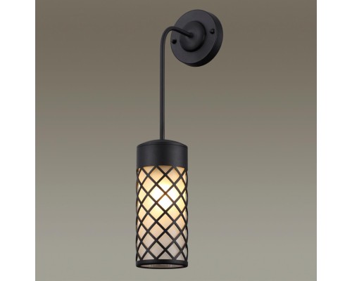 4834/1W NATURE ODL21 567 черный/стекло Ландшафтный настенный светильник E27 1*60W IP44 DUNES