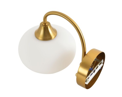 8323/1W MODERNI LN латунь/белый, металл/стекло Бра E27 1*60W 220V LARINA