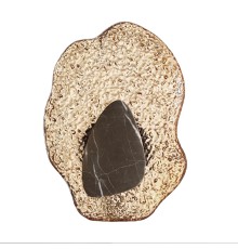 5461/12WLA L-VISION ODL_EX26 черный/янтарный/коричневый/металл/стекло/мрамор Настенный светильник LED x 12W 3000K CORALLA