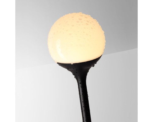 7120/3GLB NATURE ODL25 Ландшафтный светильник  черный/металл IP65 LED 3W 3000K 12-24V DEW