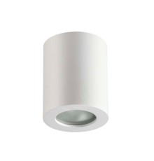 Потолочный светильник Odeon Light 3571/1C Aquana белый