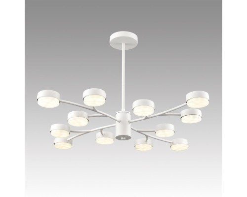 8265/12 COMFI LN26 металл, белый Люстра GX53 LED 12*7W 220V TORINA