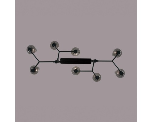 6555/8C CLASSI LN24 черный/дымчатый/металл/стекло Люстра потолочная E14 8*40W 220V MADONNA