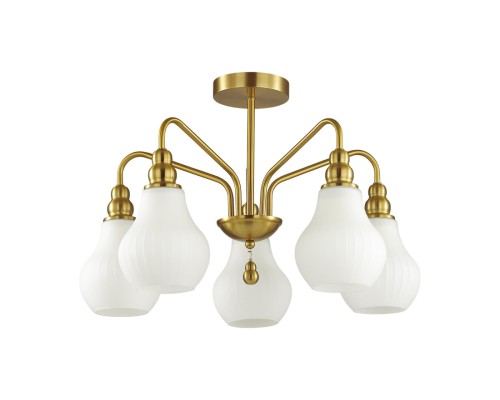 4562/5C MODERNI LN21 000 латунь Люстра потолочная E27 5*60W 220V ELEONORA