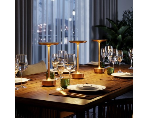 5033/6TL L-VISION ODL24 387 золото матовое/металл/акрил Настольная лампа LED 6W 3000K-5700K 300Лм TET-A-TET