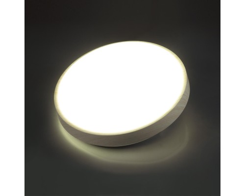 7628/CL PALE SN 000 Светильник пластик/белый/беленый под дерево LED 30Вт 4000К D340 IP43 LOSTA