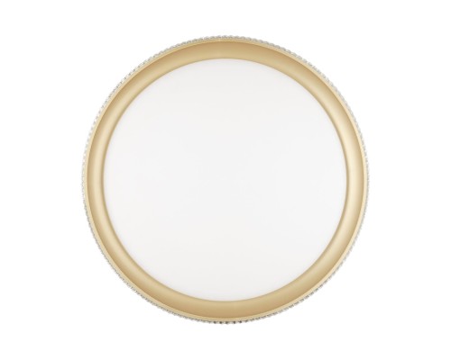 3054/DL PALE SN 000 Светильник пластик/белый/золотистый LED 48Вт 3000-6300K D395 IP43 пульт ДУ SHINY