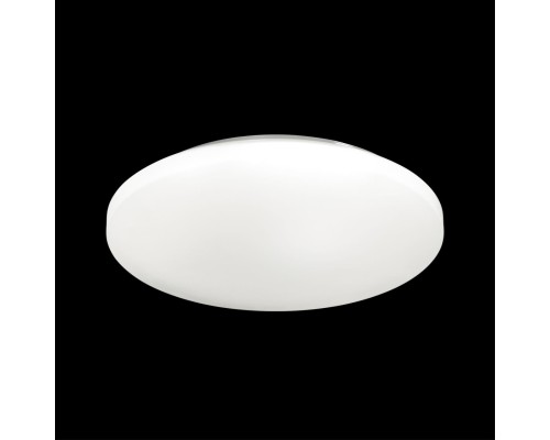 3017/DLN PALE SN 218 Светильник пластик/белый LED 48Вт 3000/4000/6000К D400 IP43 CCT SIMPLE