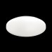 3017/DLN PALE SN 218 Светильник пластик/белый LED 48Вт 3000/4000/6000К D400 IP43 CCT SIMPLE