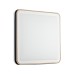 7621/DLN PALE SN 162 Светильник пластик/черн./медный LED 48Вт 3000-6000K 440х440 IP43 пульт ДУ EFFA