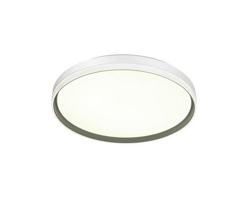7631/DL PALE SN 043 Светильник пластик/белый/светло-серый LED 48Вт c ДУ 3000-6000К D390 IP43 пульт ДУ SAVI